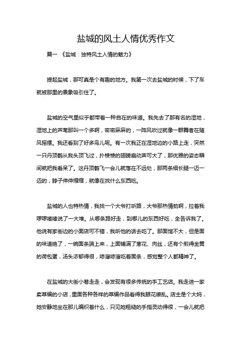 盐城的风土人情优秀作文