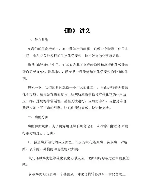 《酶》 讲义