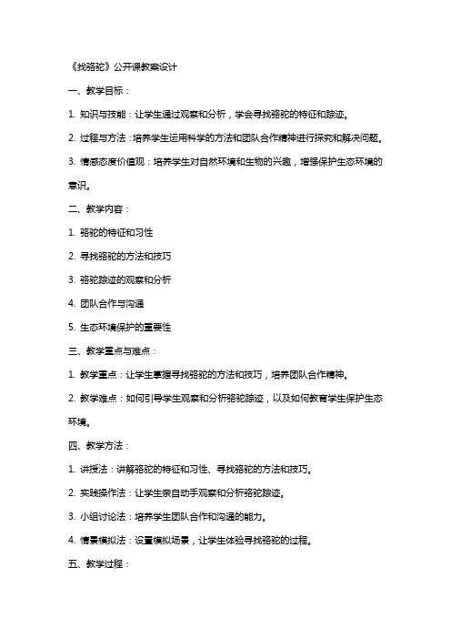 《找骆驼》公开课教案设计