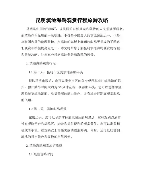 昆明滇池海鸥观赏行程旅游攻略