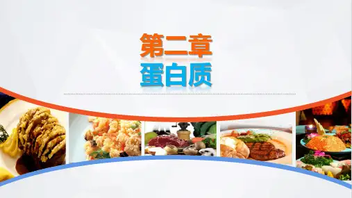 电子课件烹饪化学第二章蛋白质