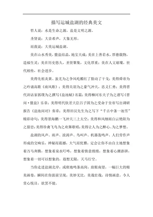 描写运城盐湖的经典美文