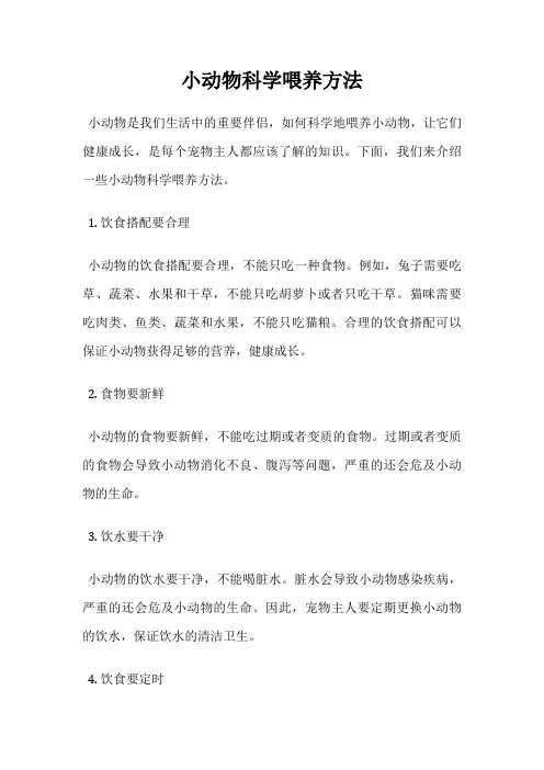 小动物科学喂养方法
