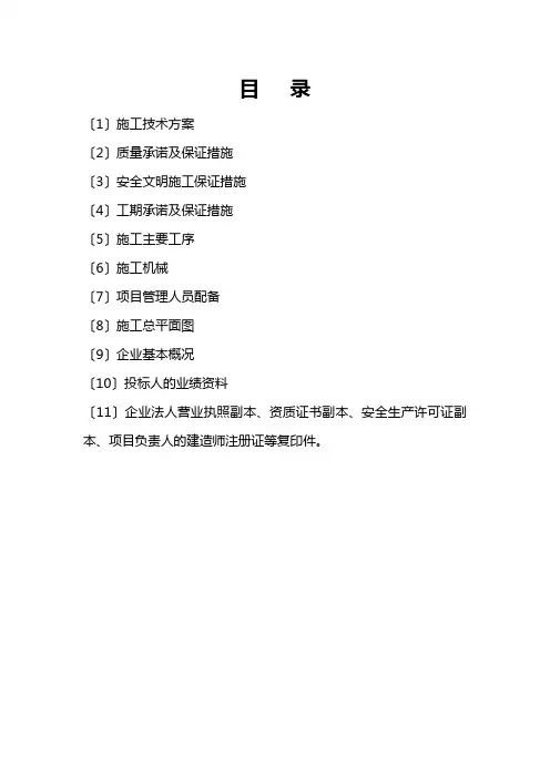 文化中心广场施工组织设计