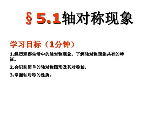 5.1轴对称现象  课件(共24张PPT)  2023—2024学年北师大版数学七年级下册
