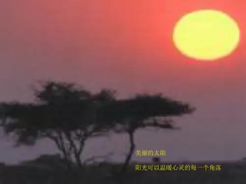 安全防护眼镜PPT课件