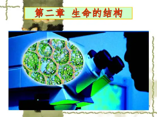 浙科版必修1第二章第四节细胞核第五节原核细胞