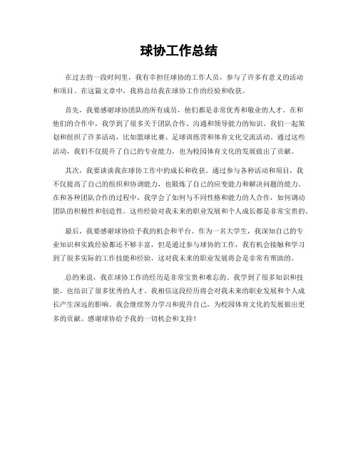 球协工作总结