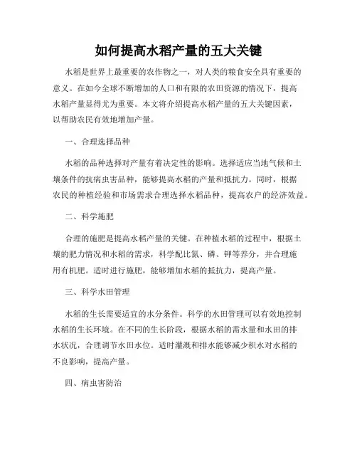 如何提高水稻产量的五大关键