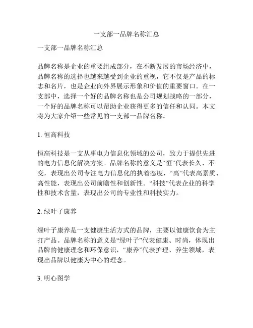 一支部一品牌名称汇总