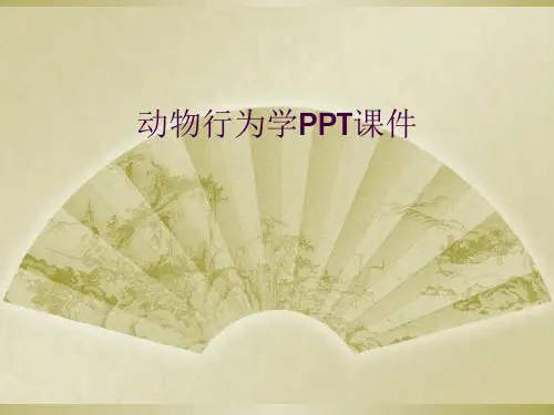动物行为学PPT课件