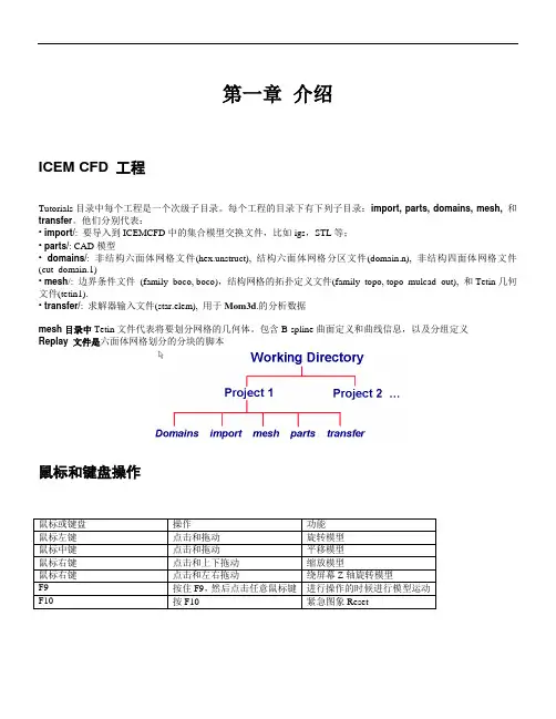 计算流体力学ICEM CFD 网格生成基础教程