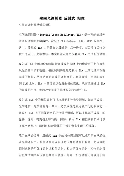 空间光调制器 反射式 相位
