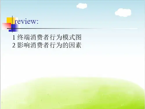 消费者购买行为概述PPT(共 51张)
