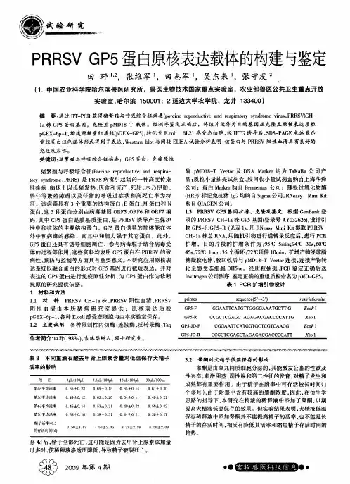 PRRSVGP5蛋白原核表达载体的构建与鉴定