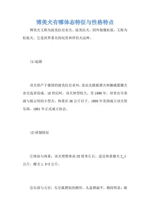 博美犬有哪体态特征与性格特点
