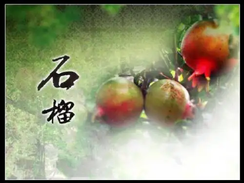 语文苏教版三年级上册《石榴》课件