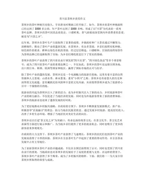青川县茶坝乡获奖作文