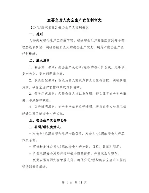 主要负责人安全生产责任制例文(5篇)