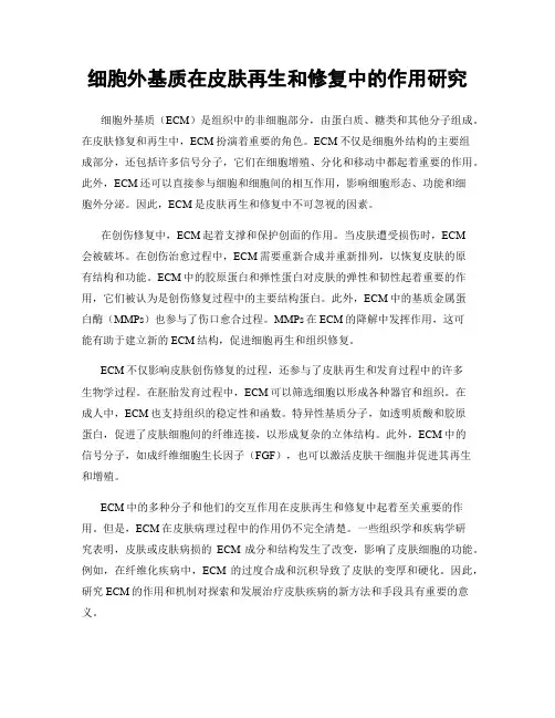 细胞外基质在皮肤再生和修复中的作用研究