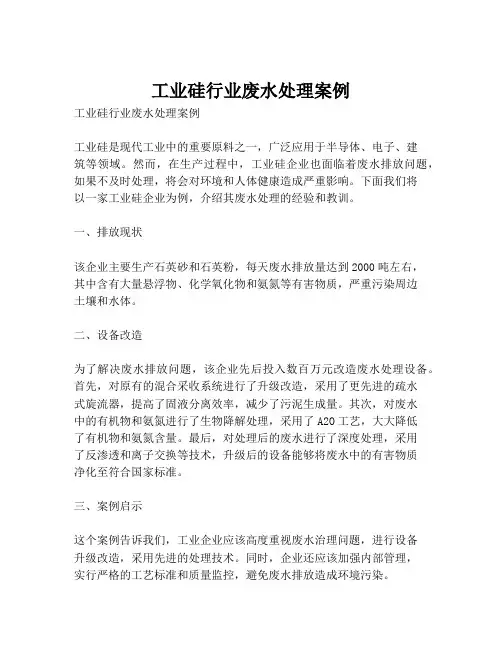 工业硅行业废水处理案例
