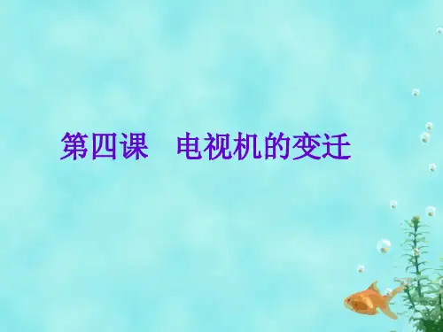 《第四课 电视机的变迁》课件