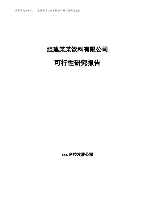 组建某某饮料有限公司可行性研究报告
