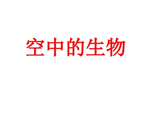 第12章空中的生物-江苏省泗洪县新星城南学校苏科版七年级下册复习课件(共12张PPT)
