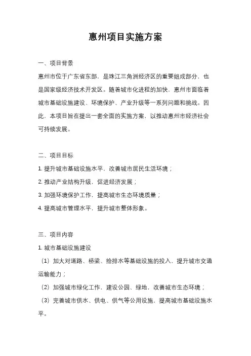 惠州项目实施方案