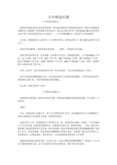 小牛顿读后感