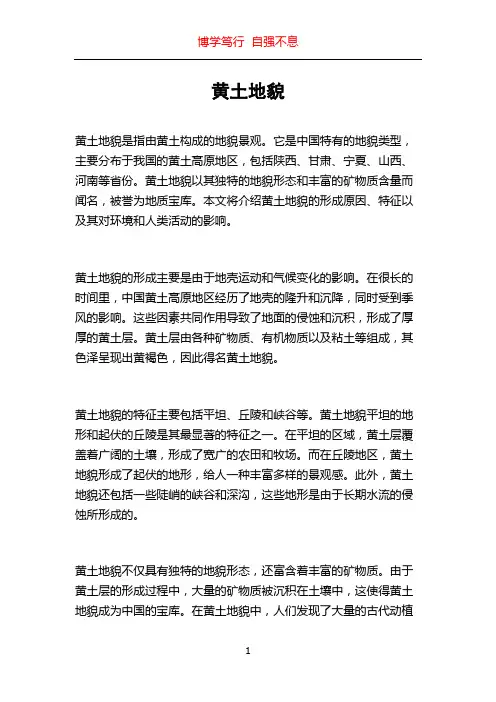 黄土地貌_精品文档