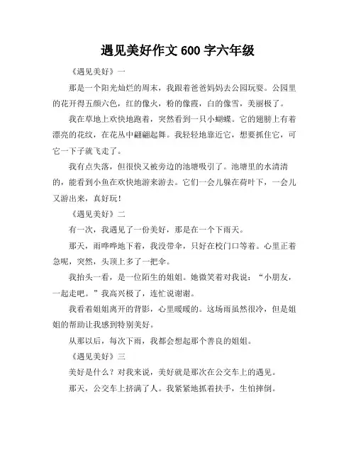 遇见美好作文600字六年级