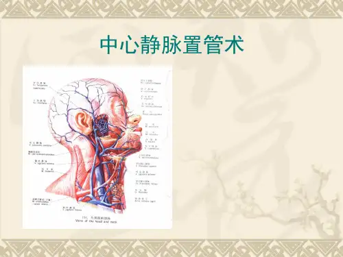 《中心静脉置管术》PPT课件【59页】