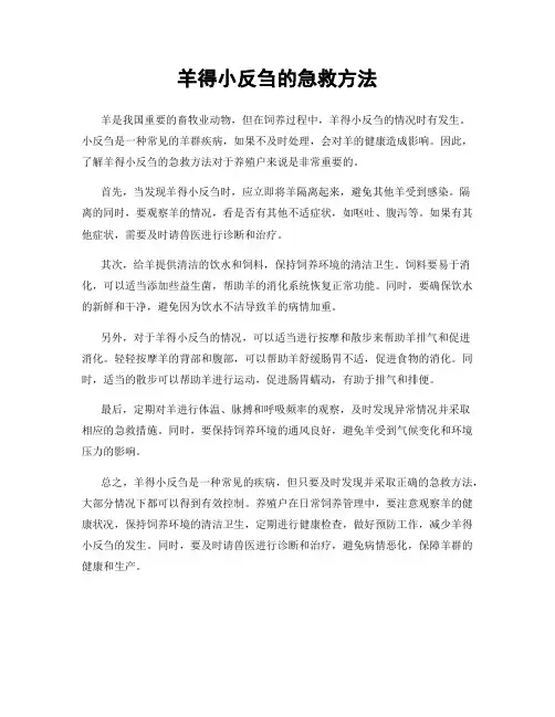羊得小反刍的急救方法