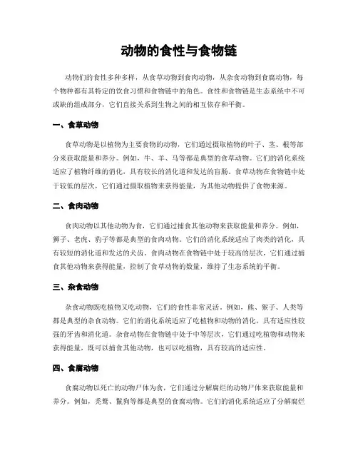 动物的食性与食物链