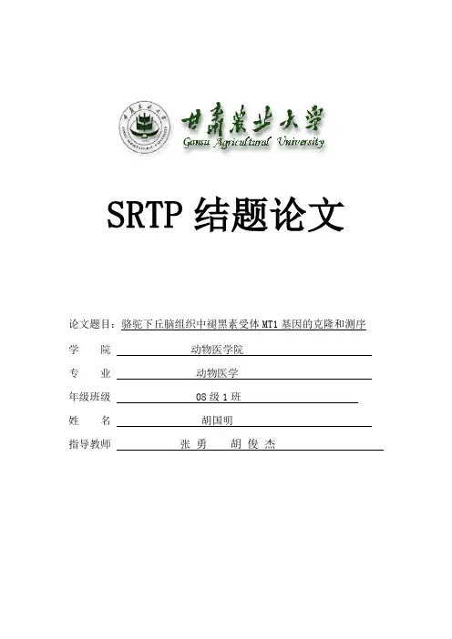 SRTP结题论word版