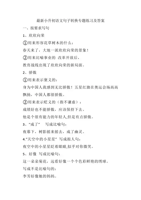 最新小升初语文句子转换专题练习及答案