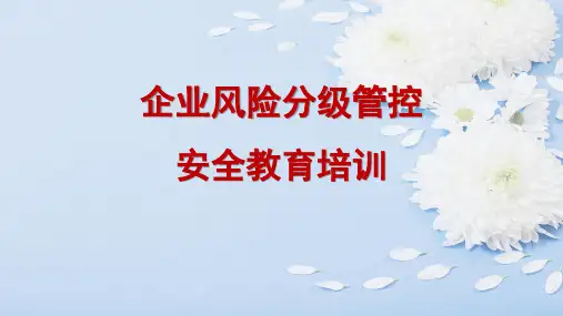 企业风险分级管控安全教育培训