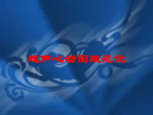 超声心动图规范化培训课件