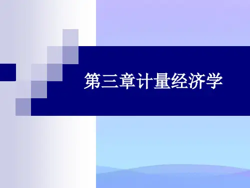 计量经济学精品PPT资料