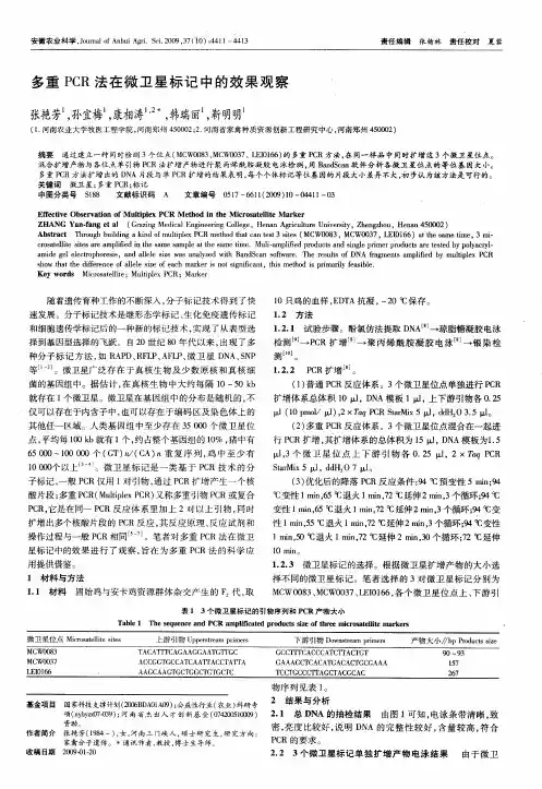 多重PCR法在微卫星标记中的效果观察