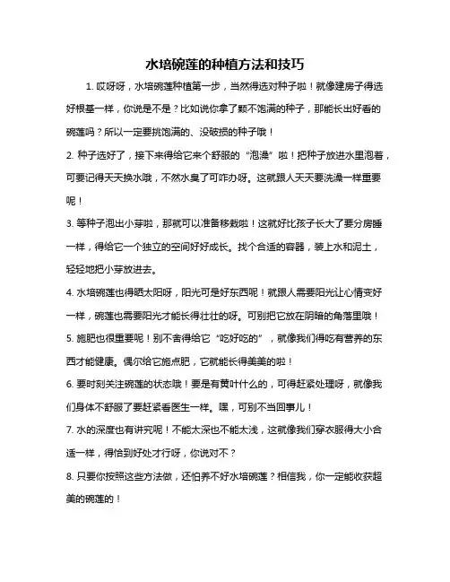 水培碗莲的种植方法和技巧