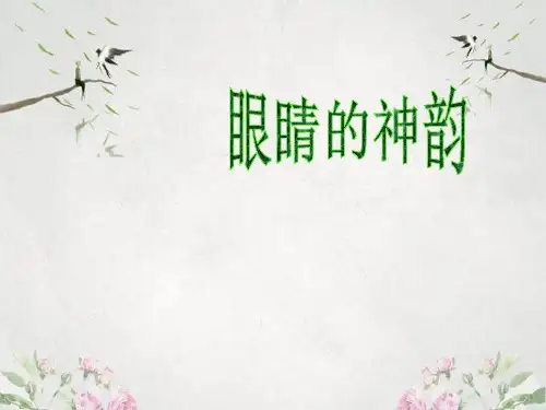 作文-初中作文指导：《眼睛的神韵》ppt优秀PPT