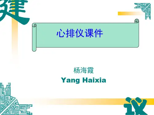 心排仪