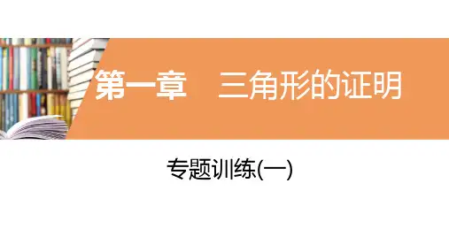 最新人教中考总复习知识点专题三角形证明三线合一