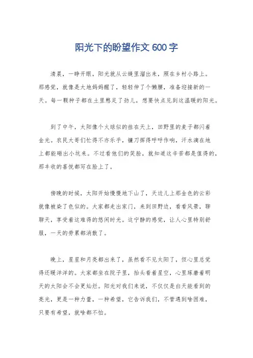 阳光下的盼望作文600字