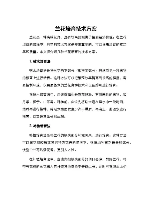 兰花培育技术方案