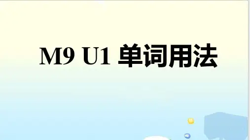 牛津选修九Unit1 单词用法(共27张片ppt)课件