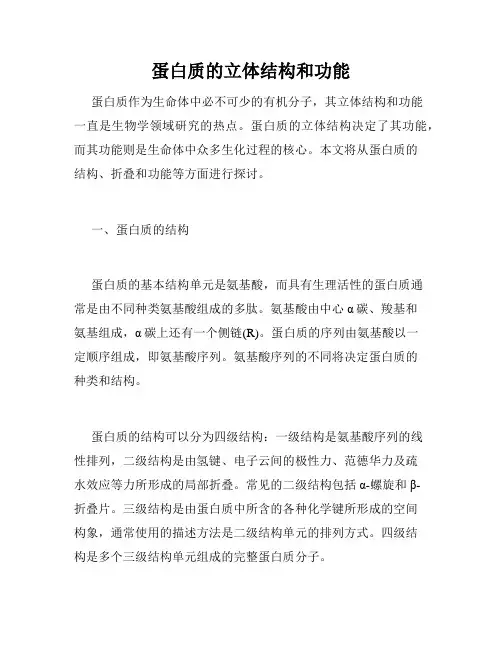 蛋白质的立体结构和功能