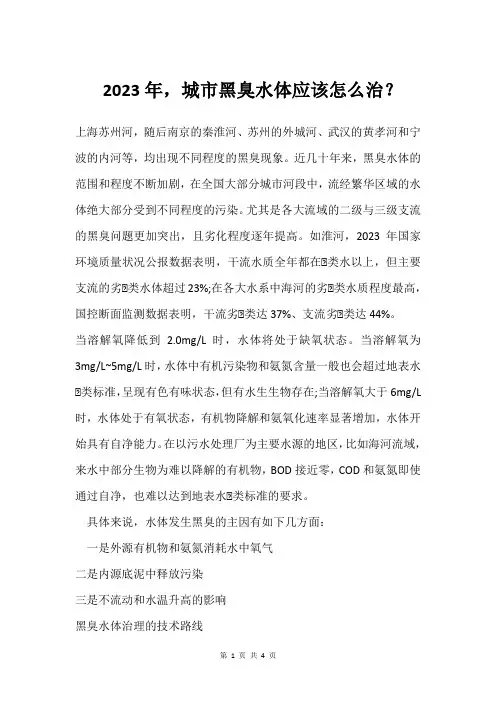 2023年,城市黑臭水体应该怎么治？